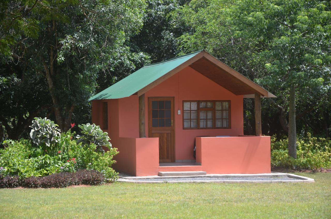 Bushbaby Lodge & Camping Хлухлуве Екстериор снимка