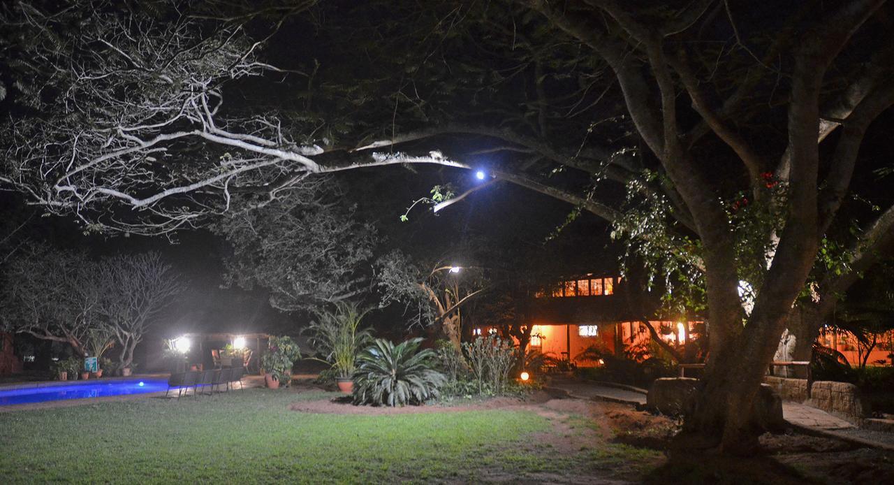 Bushbaby Lodge & Camping Хлухлуве Екстериор снимка